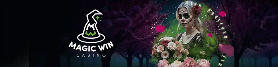 programme vip magicwin casino